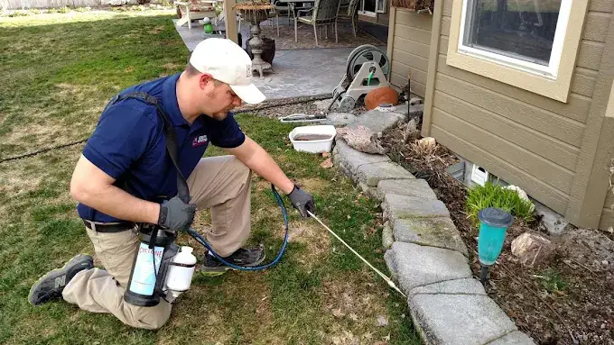 How Professional Exterminators Can Keep Your Home Pest-Free