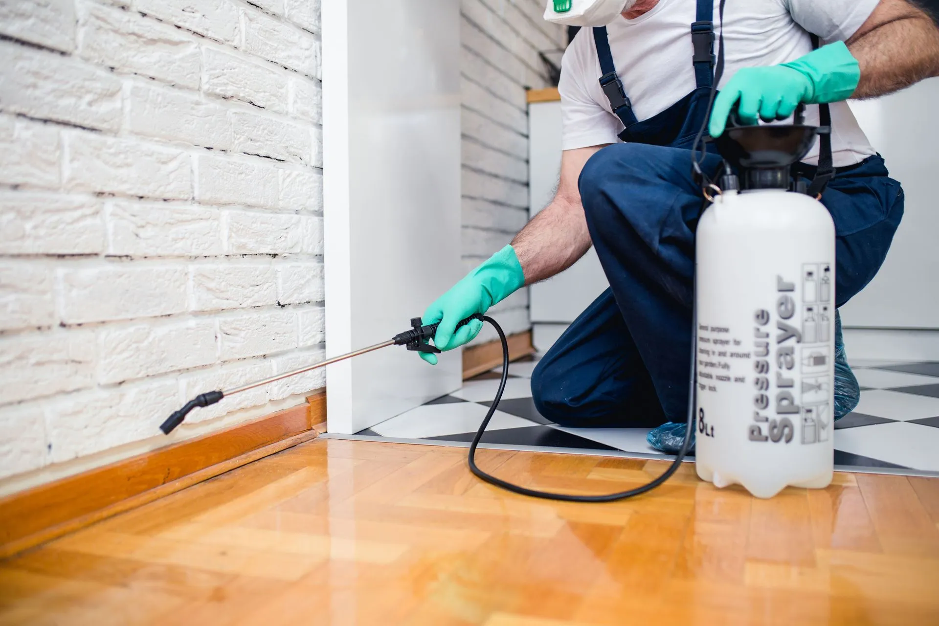 Why You Don’t Want to Wait to Hire an Exterminator