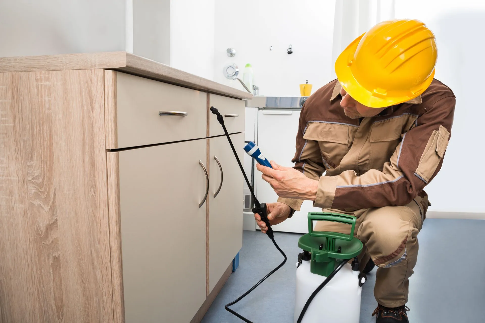 4 Easy Ways to Uncover Pests in Your Home