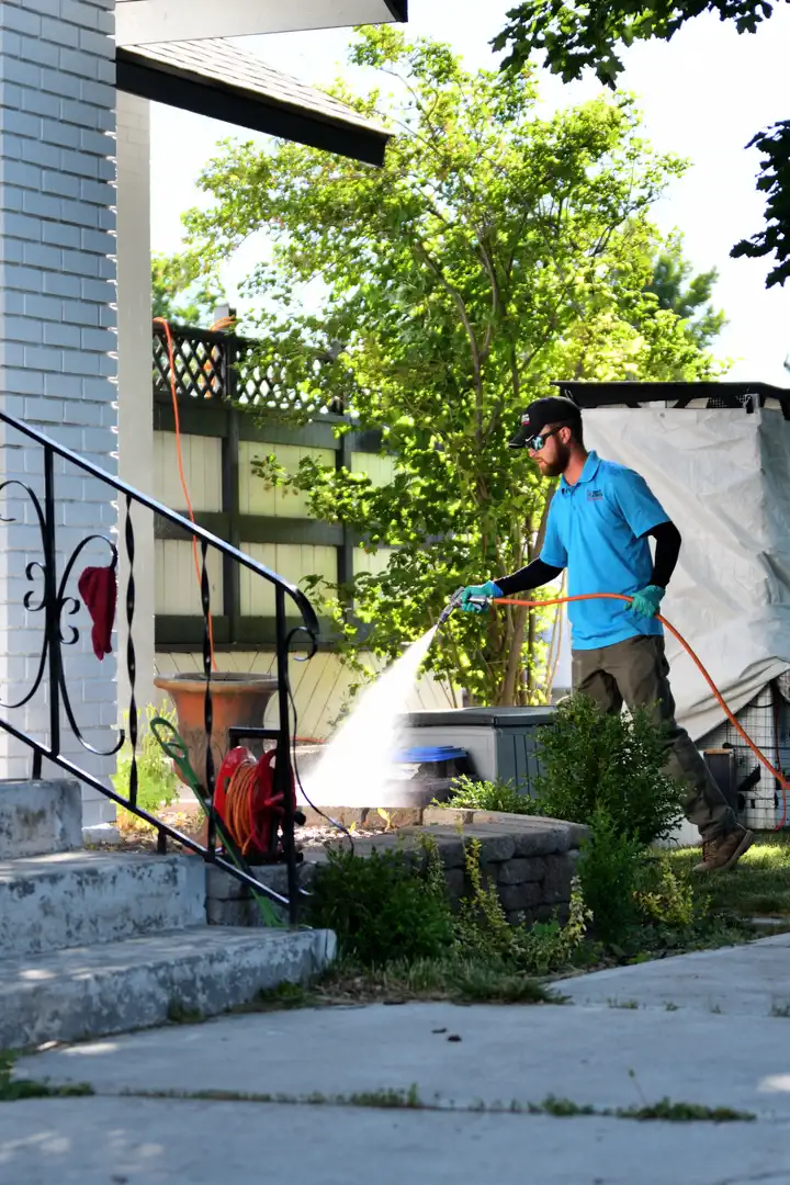 Gem State Pest Solutions residential pest control for ants spiders rodents cockroaches and stinging pests