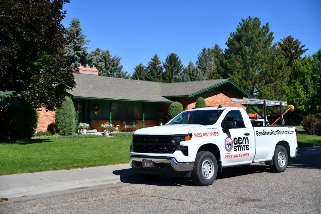 Qualified Pest Control Service Idaho Falls, ID Gem State Pest Solutions