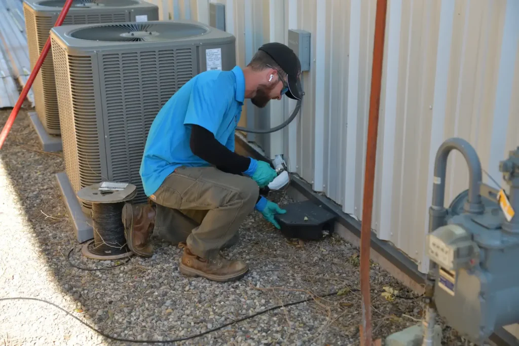 Rodent control services from Gem State Pest Solutions for mice rats voles gophers and moles servicing idaho falls and south eastern idaho