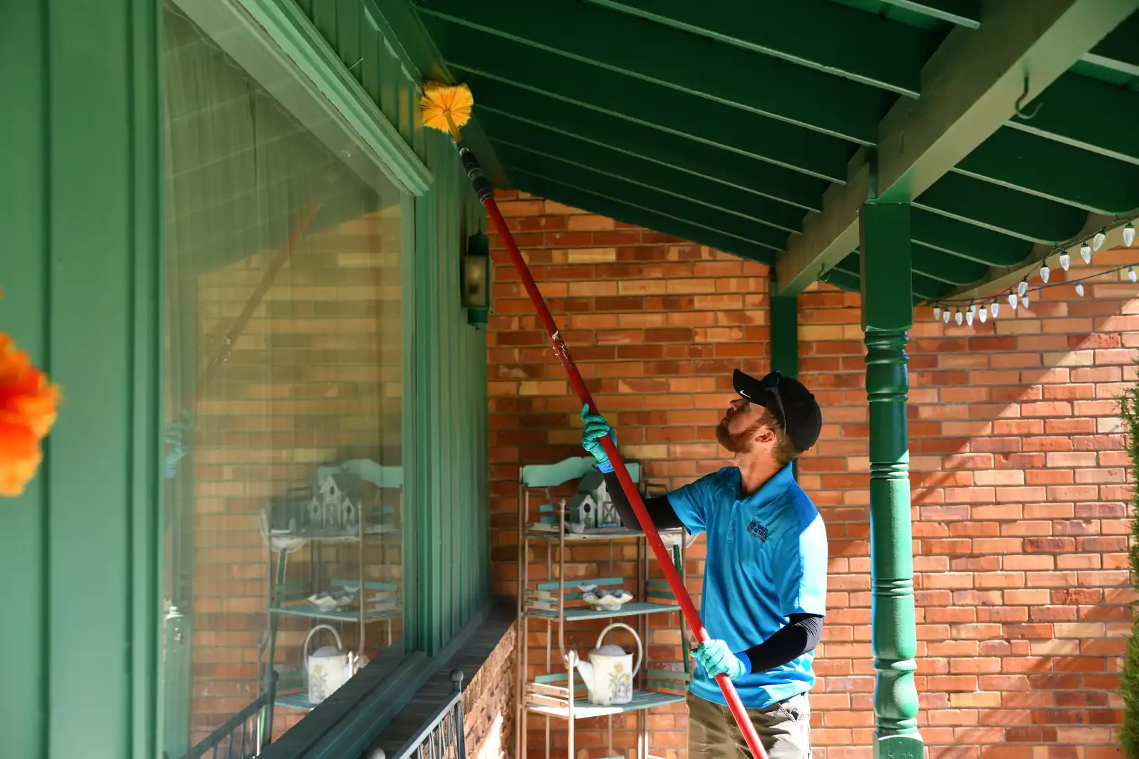 Spider-control-services-idaho-falls-Gem-State-Pest-Solutions-homes-businesses Spiders